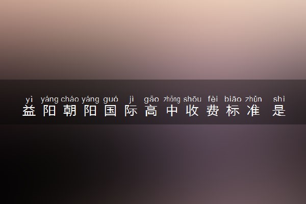 益阳朝阳国际高中收费标准 是公立还是私立