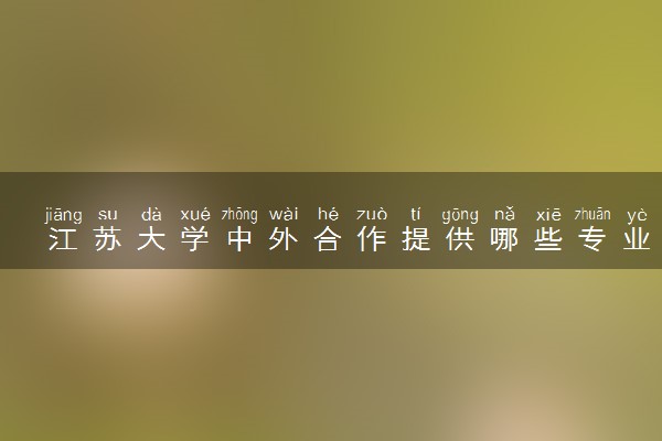江苏大学中外合作提供哪些专业 就业率如何
