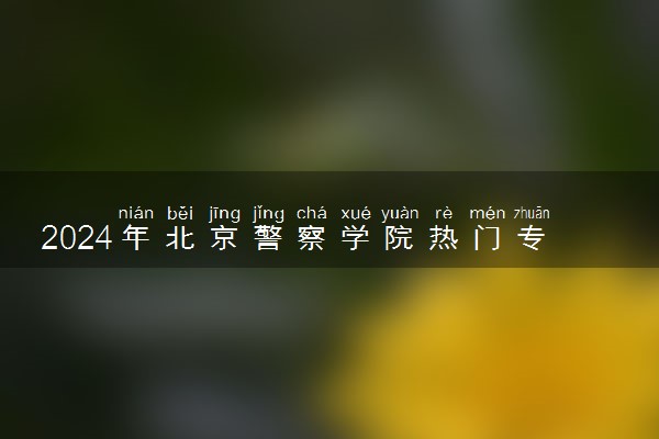 2024年北京警察学院热门专业全国排名 有哪些专业比较好