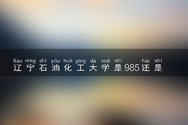 辽宁石油化工大学是985还是211 含金量怎么样