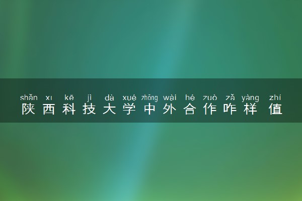 陕西科技大学中外合作咋样 值得读吗