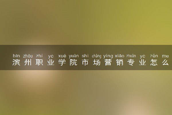 滨州职业学院市场营销专业怎么样 录取分数线多少