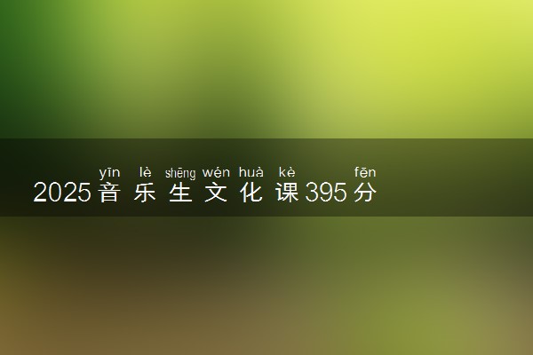 2025音乐生文化课395分能上常州信息职业技术学院吗
