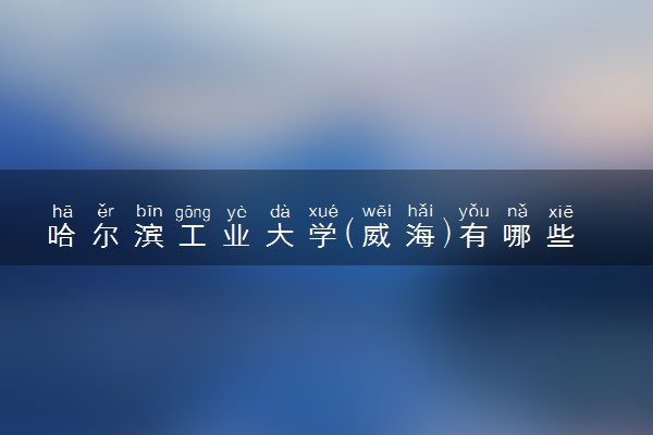 哈尔滨工业大学(威海)有哪些热门专业 推荐的王牌专业