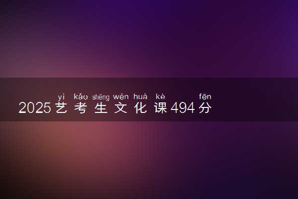 2025艺考生文化课494分能上湖北经济学院吗