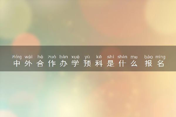 中外合作办学预科是什么 报名条件有哪些