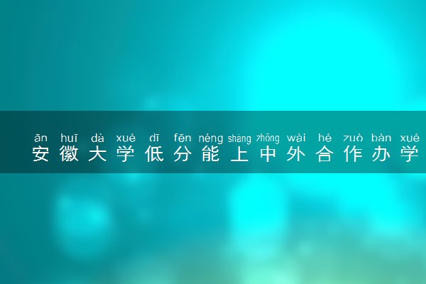 安徽大学低分能上中外合作办学吗 专业有哪些
