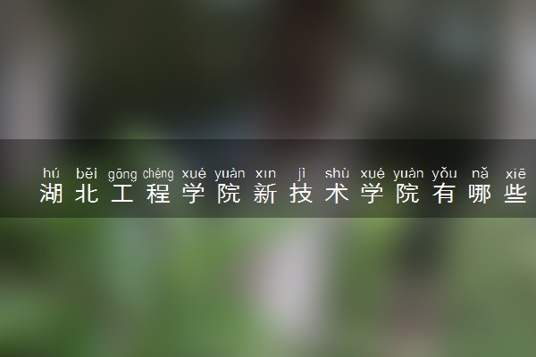 湖北工程学院新技术学院有哪些热门专业 推荐的王牌专业