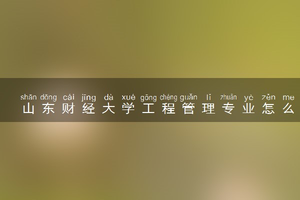 山东财经大学工程管理专业怎么样 录取分数线多少