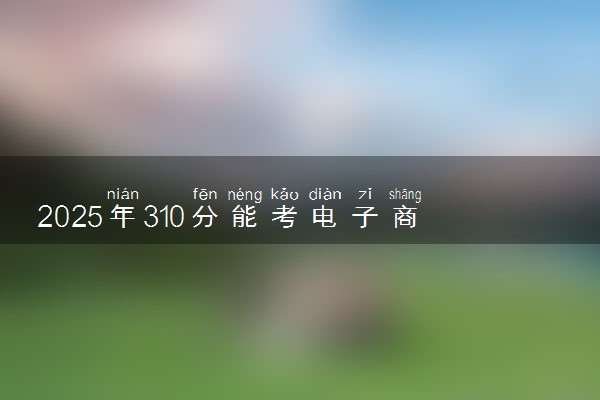 2025年310分能考电子商务专业吗 310分电子商务专业大学推荐