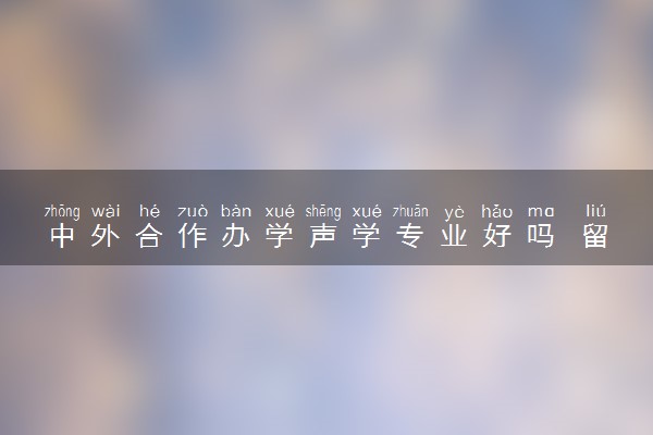 中外合作办学声学专业好吗 留学院校有哪些