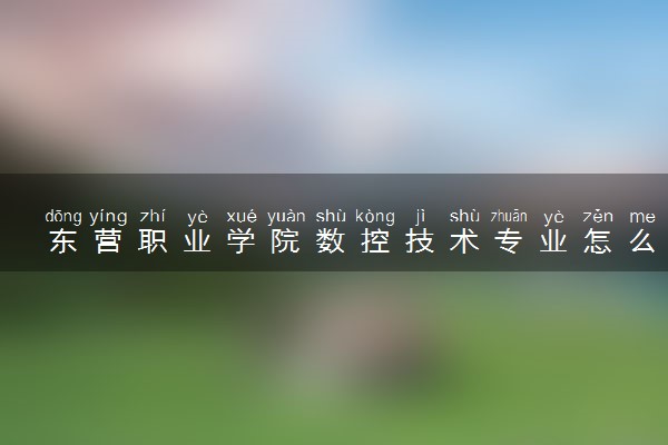 东营职业学院数控技术专业怎么样 录取分数线多少