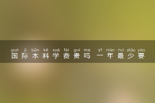 国际本科学费贵吗 一年最少要花多少钱