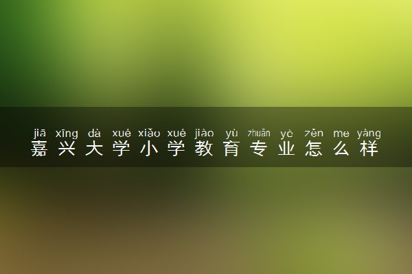 嘉兴大学小学教育专业怎么样 录取分数线多少