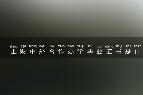 上财中外合作办学毕业证书是什么 毕业要求高吗