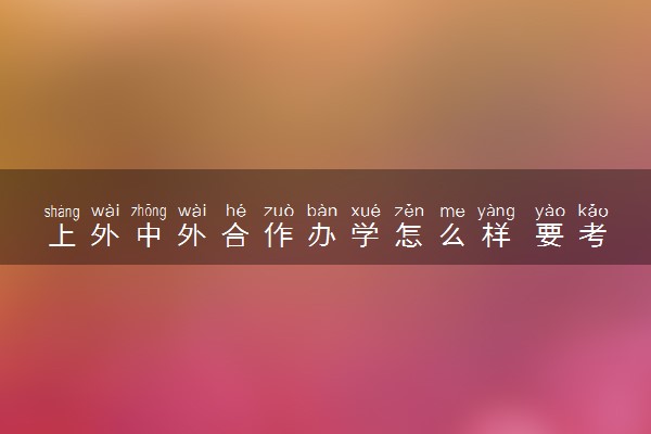 上外中外合作办学怎么样 要考什么