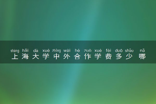 上海大学中外合作学费多少 哪个专业最好