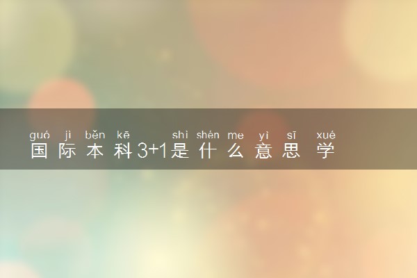 国际本科3+1是什么意思 学历含金量高吗