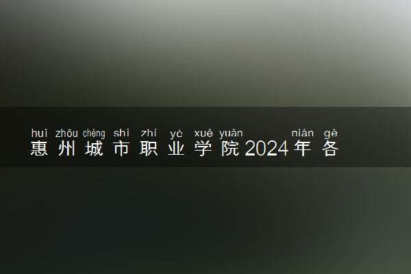 惠州城市职业学院2024年各省录取分数线 多少分能考上