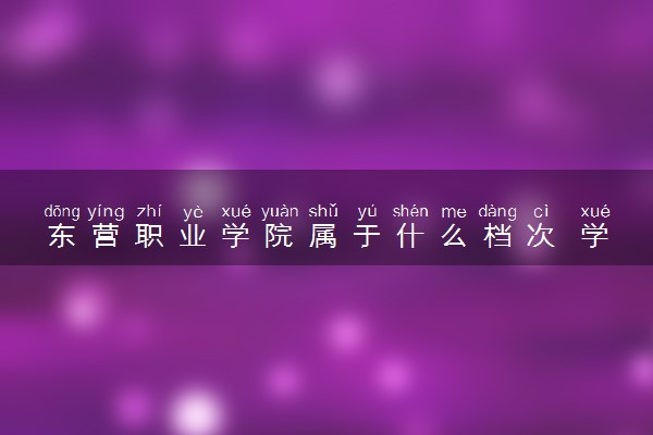 东营职业学院属于什么档次 学校好不好