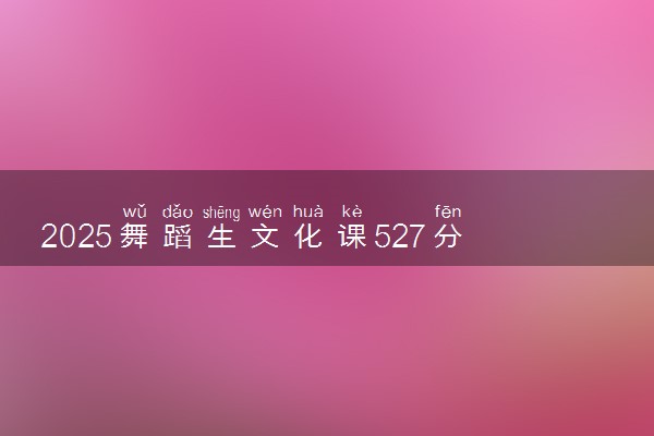 2025舞蹈生文化课527分能上中央民族大学吗