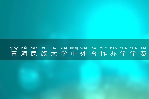 青海民族大学中外合作办学学费多少钱 各专业收费标准