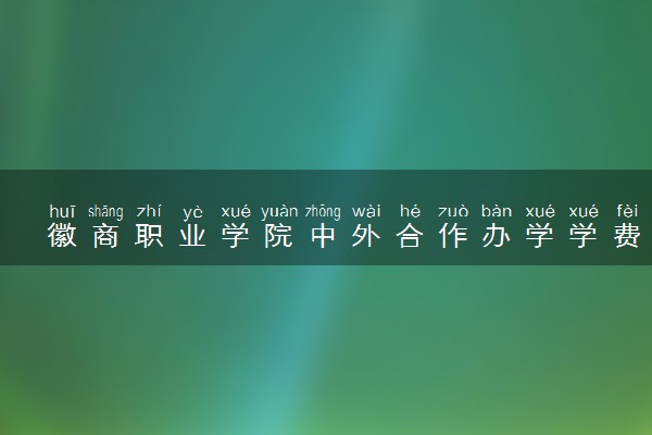 徽商职业学院中外合作办学学费多少钱 各专业收费标准