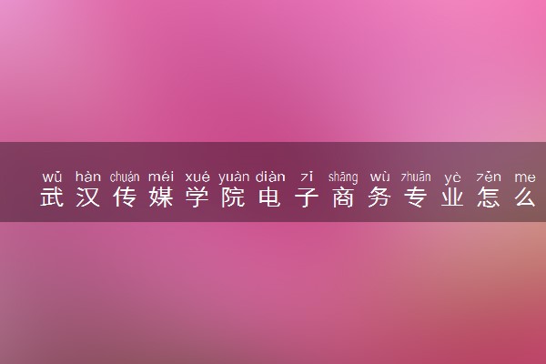 武汉传媒学院电子商务专业怎么样 录取分数线多少