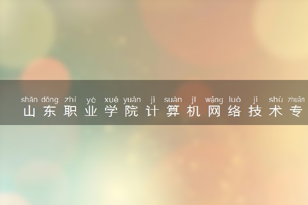 山东职业学院计算机网络技术专业怎么样 录取分数线多少