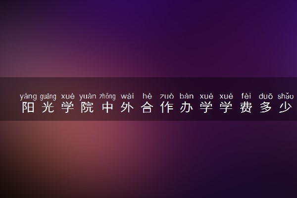阳光学院中外合作办学学费多少钱 各专业收费标准