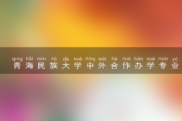 青海民族大学中外合作办学专业有哪些 好就业吗