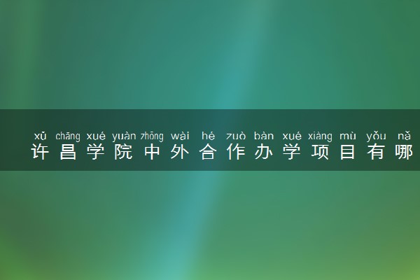 许昌学院中外合作办学项目有哪些 要出国吗