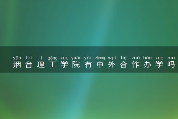 烟台理工学院有中外合作办学吗 录取分数线是多少