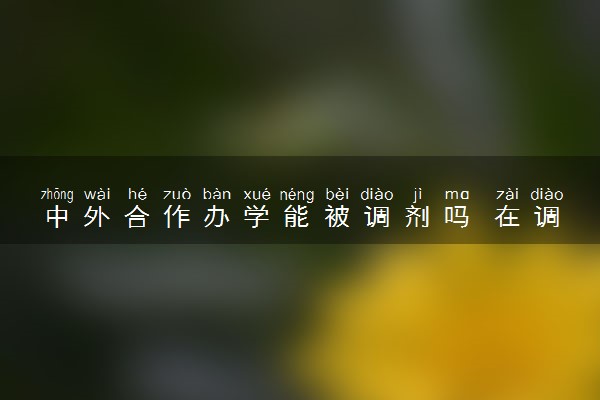 中外合作办学能被调剂吗 在调剂范围之内吗