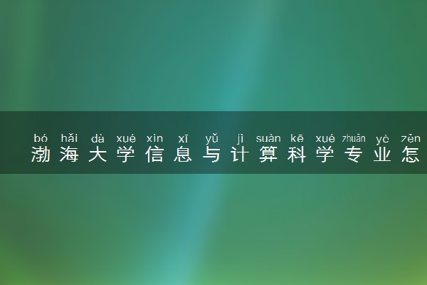 渤海大学信息与计算科学专业怎么样 录取分数线多少