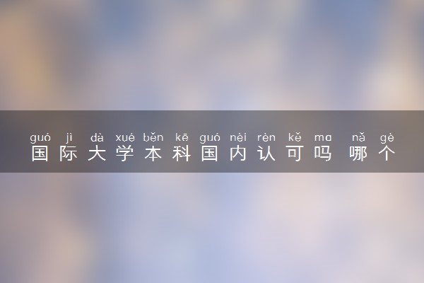 国际大学本科国内认可吗 哪个学校好