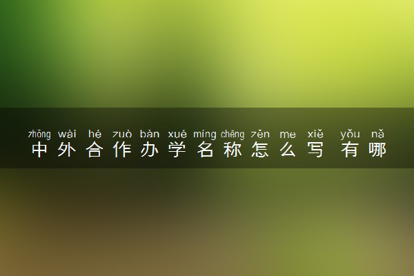 中外合作办学名称怎么写 有哪几种类型