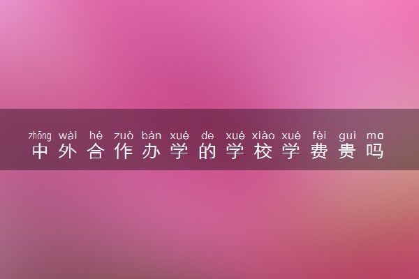 中外合作办学的学校学费贵吗 分数线高吗