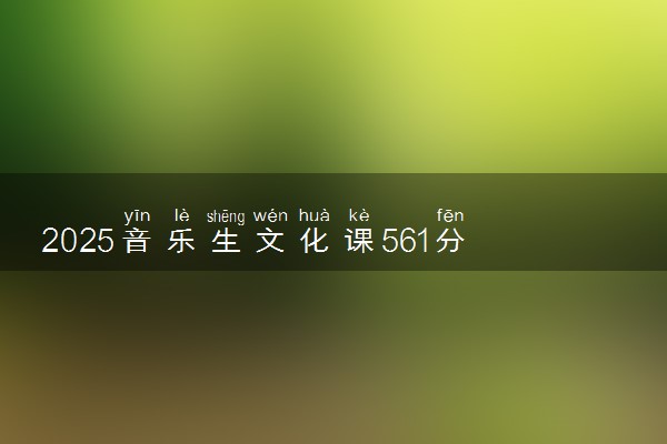 2025音乐生文化课561分能上安徽大学吗