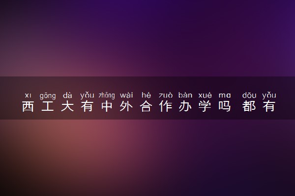 西工大有中外合作办学吗 都有哪些项目