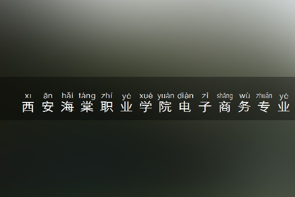 西安海棠职业学院电子商务专业怎么样 录取分数线多少