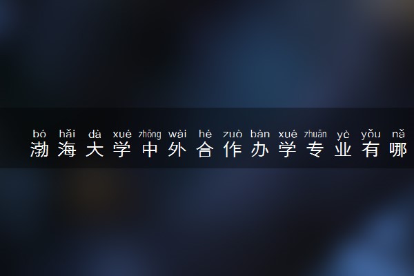 渤海大学中外合作办学专业有哪些 好就业吗