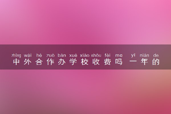 中外合作办学校收费吗 一年的花销大吗