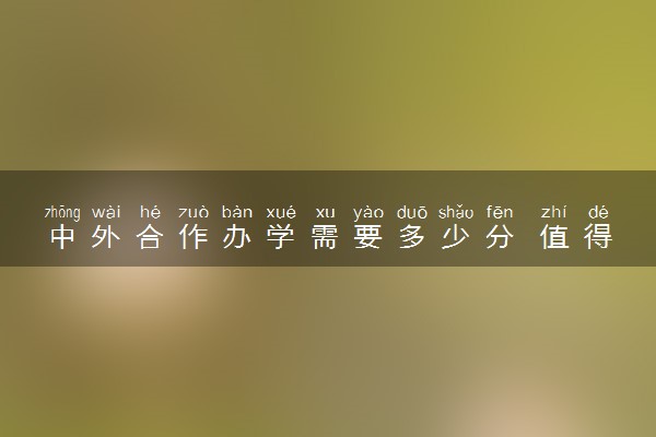 中外合作办学需要多少分 值得报考吗