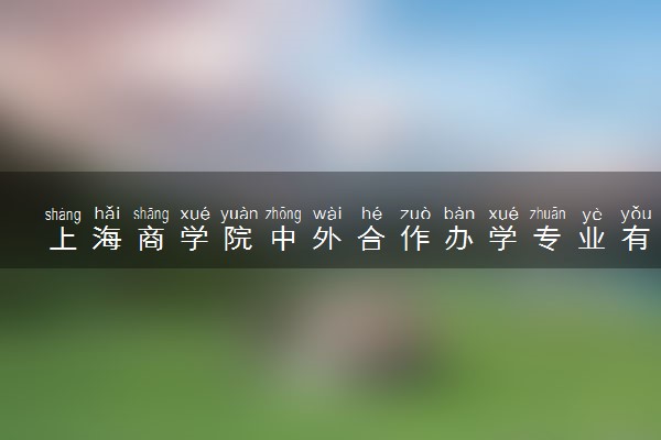 上海商学院中外合作办学专业有哪些 好就业吗