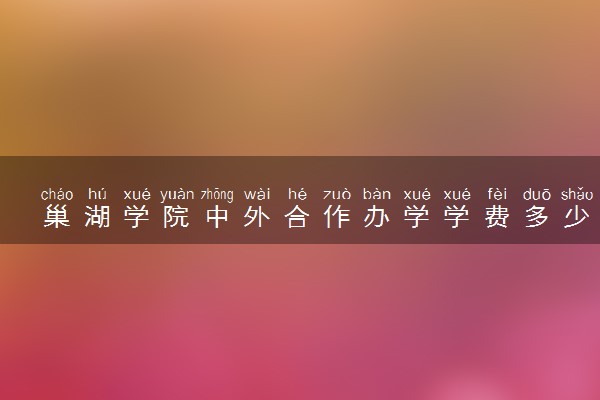 巢湖学院中外合作办学学费多少 住宿条件怎样