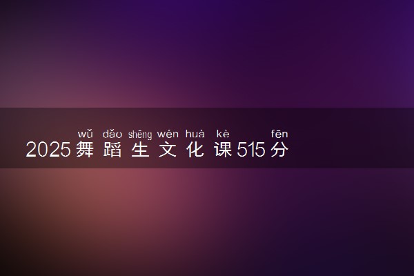 2025舞蹈生文化课515分能上山东艺术学院吗