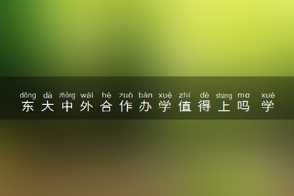 东大中外合作办学值得上吗 学费多少钱一年