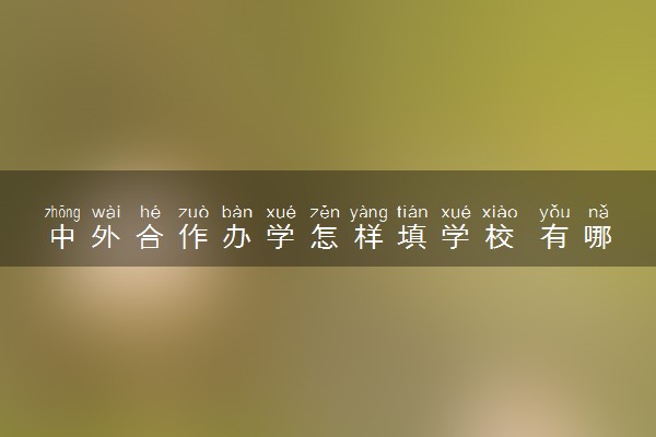 中外合作办学怎样填学校 有哪些注意事项