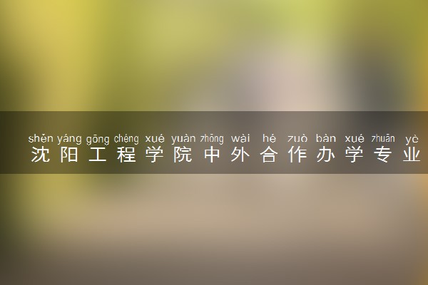 沈阳工程学院中外合作办学专业有哪些 好就业吗